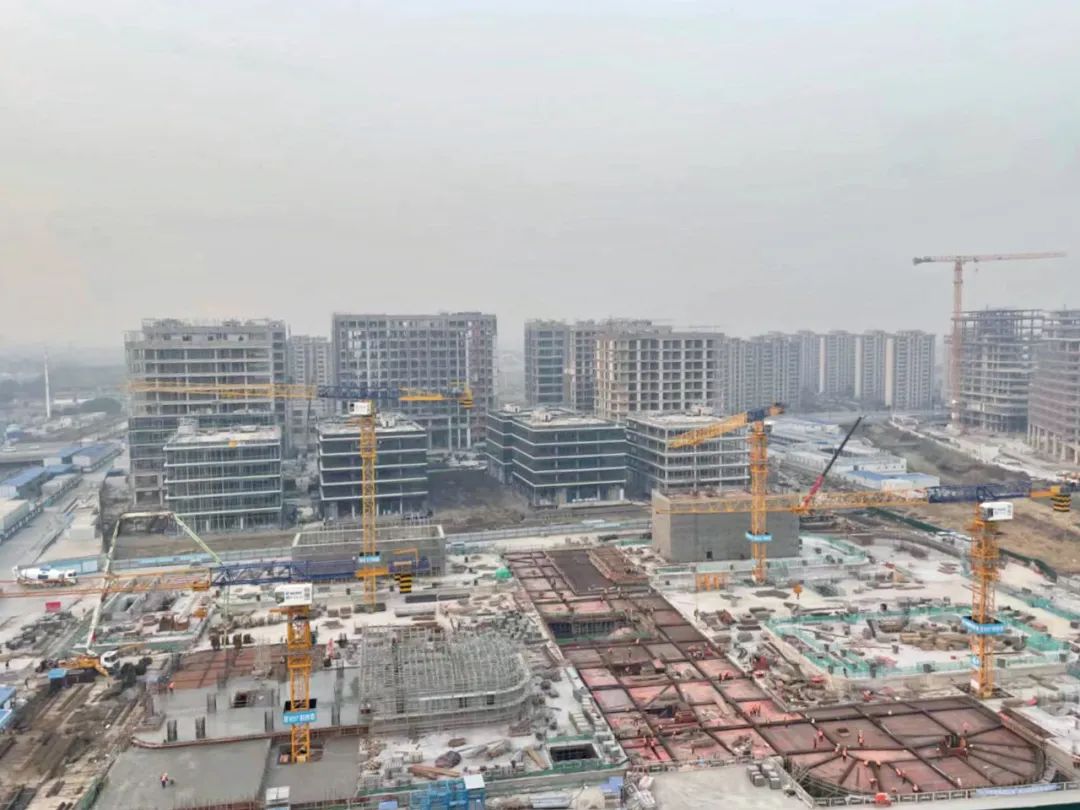 “大虹桥”区域内，这个重大产业项目新年新进展！